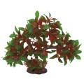 HUGO KAMISHI BONSAI SPRING 23CM